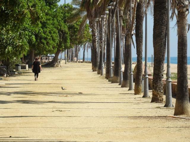شقة Duplex En Frente De La Playa Al Lado De Barcelona كانيه دي مار المظهر الخارجي الصورة
